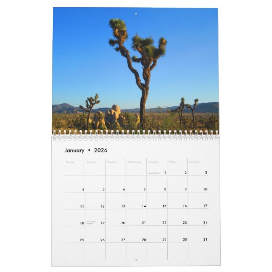 Joshua Tree 2018 door Julia Hanna Kalender (Jan 2026)