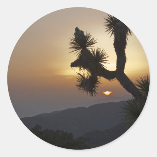 Joshua Tree bij zonsondergang Ronde Sticker (Voorkant)
