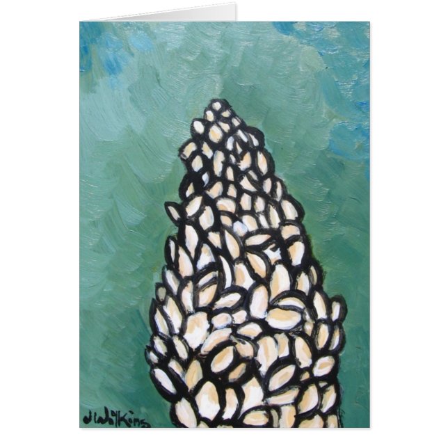 Joshua Tree Blossom (Voorkant)