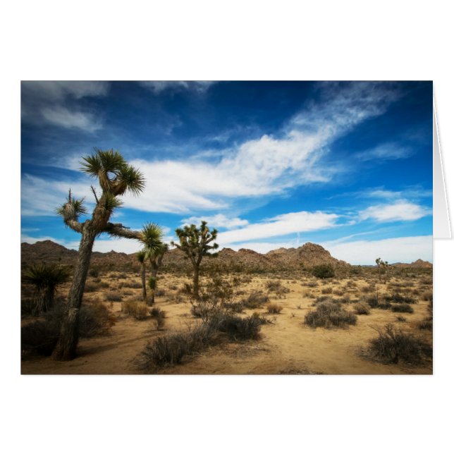 Joshua Tree Blue sky (Voorkant Horizontaal)