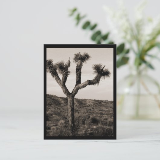 Joshua Tree Briefkaart (Staand voorkant)