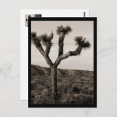 Joshua Tree Briefkaart (Voorkant / Achterkant)