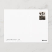 Joshua Tree Briefkaart (Achterkant)