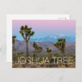 Joshua Tree Briefkaart (Voorkant / Achterkant)