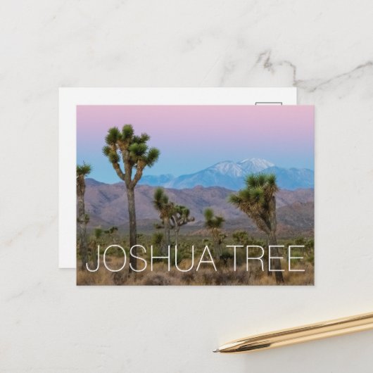 Joshua Tree Briefkaart (Voorkant / Achterkant in situ)