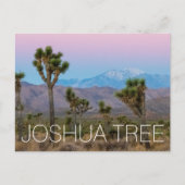 Joshua Tree Briefkaart (Voorkant)