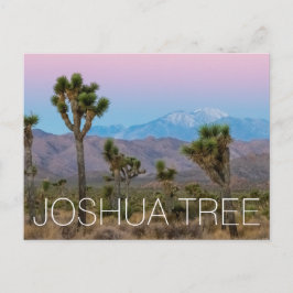 Joshua Tree Briefkaart