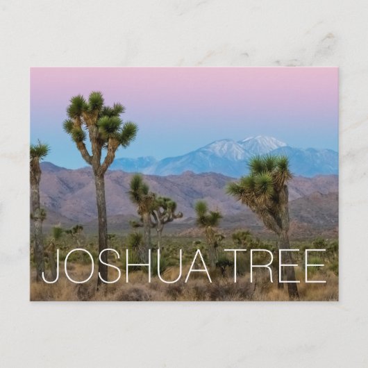 Joshua Tree Briefkaart (Voorkant)