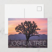 Joshua Tree Briefkaart (Voorkant / Achterkant)
