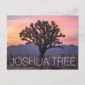 Joshua Tree Briefkaart (Voorkant)