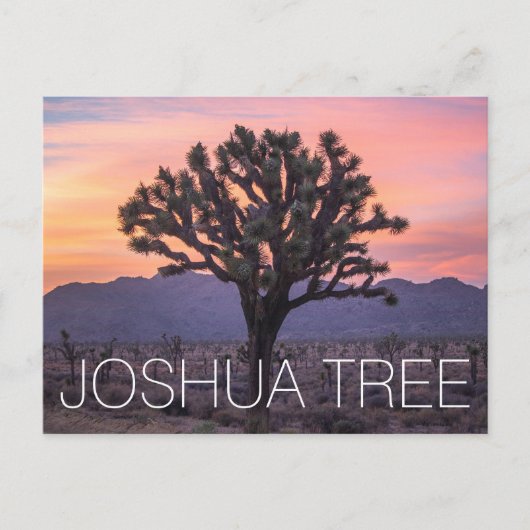 Joshua Tree Briefkaart (Voorkant)