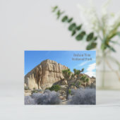 Joshua Tree Briefkaart! Briefkaart (Staand voorkant)