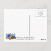 Joshua Tree Briefkaart! Briefkaart (Achterkant)