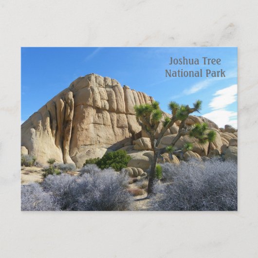 Joshua Tree Briefkaart! Briefkaart (Voorkant)