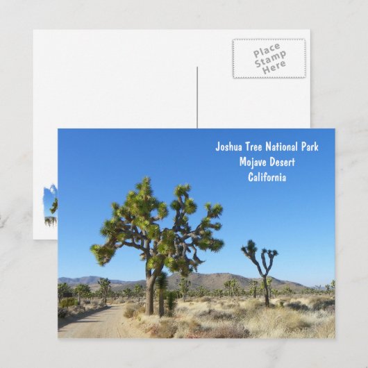 Joshua Tree Briefkaart! Briefkaart (Voorkant / Achterkant)