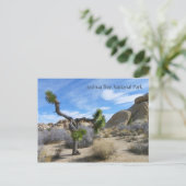Joshua Tree Briefkaart! Briefkaart (Staand voorkant)