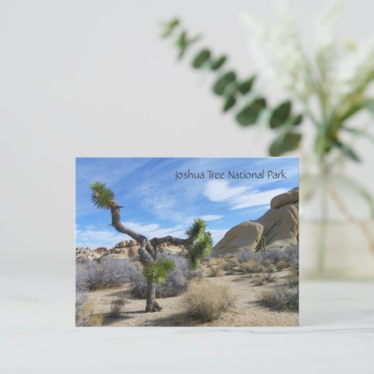 Joshua Tree Briefkaart! Briefkaart (Staand voorkant)
