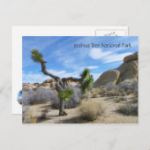 Joshua Tree Briefkaart! Briefkaart (Voorkant / Achterkant)