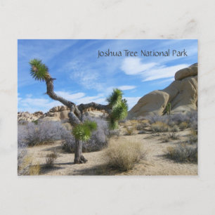 Joshua Tree Briefkaart! Briefkaart