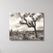 Joshua Tree bw Canvas Afdruk (Voorkant)
