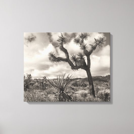 Joshua Tree bw Canvas Afdruk (Voorkant)