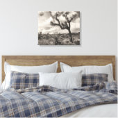 Joshua Tree bw Canvas Afdruk (Insitu (Slaapkamer))