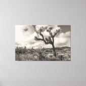 Joshua Tree bw Canvas Afdruk (Voorkant)