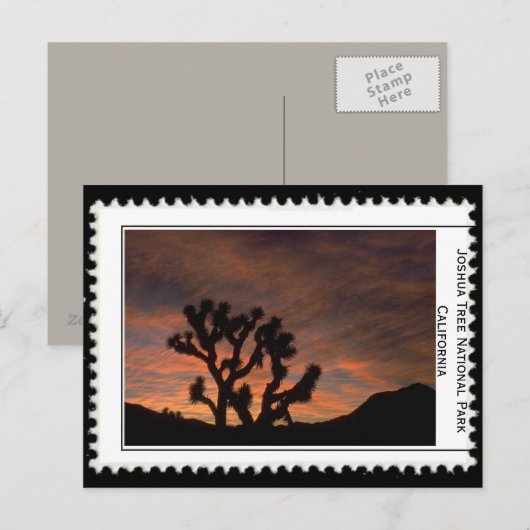Joshua Tree California Briefkaart (Voorkant / Achterkant)