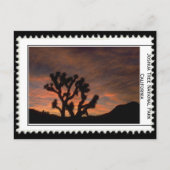 Joshua Tree California Briefkaart (Voorkant)