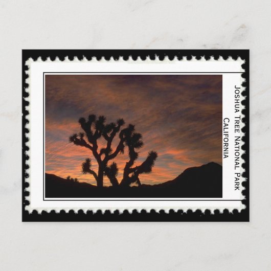 Joshua Tree California Briefkaart (Voorkant)