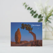 Joshua Tree California Briefkaart (Staand voorkant)
