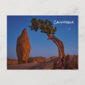 Joshua Tree California Briefkaart (Voorkant)