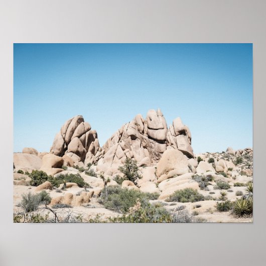 Joshua Tree California Desert Rock Formation Poster (Voorkant)