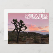 Joshua Tree California Sunset Briefkaart (Voorkant / Achterkant)