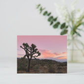 Joshua Tree California Sunset Briefkaart (Staand voorkant)