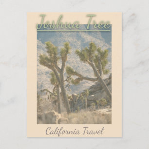 Joshua Tree California Vintage Travel Briefkaart