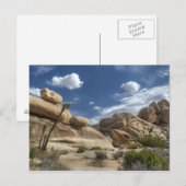 Joshua Tree, Californië Briefkaart (Voorkant / Achterkant)