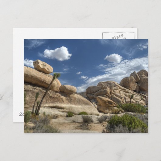 Joshua Tree, Californië Briefkaart (Voorkant / Achterkant)