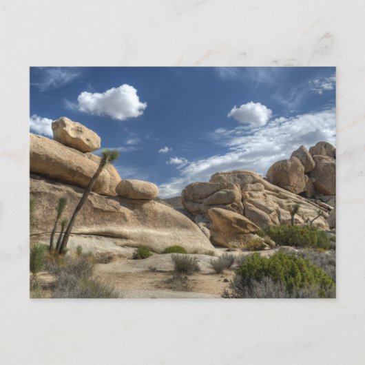 Joshua Tree, Californië Briefkaart (Voorkant)