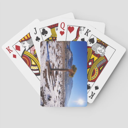 Joshua Tree, Californië Pokerkaarten (Achterkant)