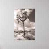 Joshua Tree Canvas Afdruk (Voorkant)