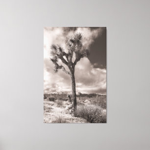 Joshua Tree Canvas Afdruk