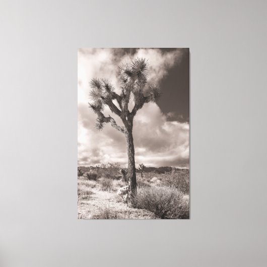 Joshua Tree Canvas Afdruk (Voorkant)