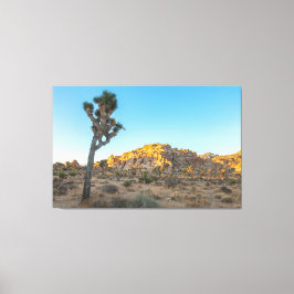 Joshua Tree Canvas Afdruk