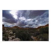 Joshua Tree Foto Afdruk (Voorkant)