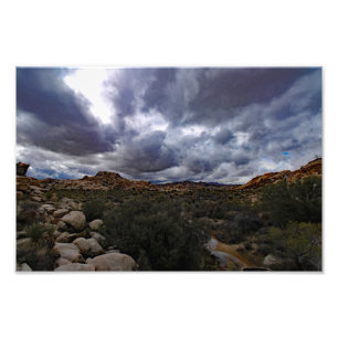 Joshua Tree Foto Afdruk