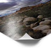 Joshua Tree Foto Afdruk (Hoek)