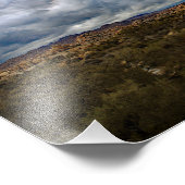 Joshua Tree Foto Afdruk (Hoek)