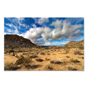Joshua Tree Foto Afdruk
