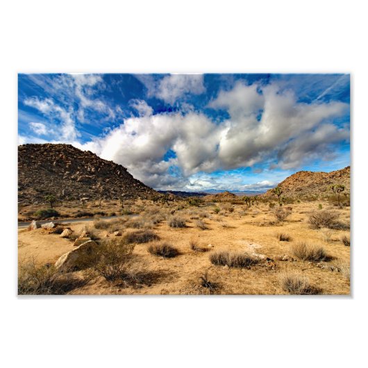 Joshua Tree Foto Afdruk (Voorkant)